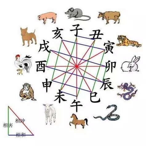 子午卯酉四正|何为八字命理中的四生方、四正方、四墓库？